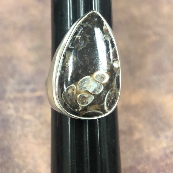 Turritella Agate Ring